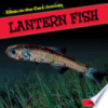 Lantern_fish