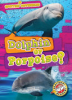 Dolphin_or_Porpoise_