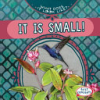It_is_Small_