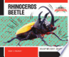 Rhinoceros_Beetle