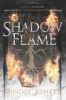 Shadow___Flame