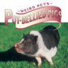 Pot_bellied_pigs