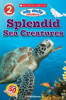 Splendid_Sea_Creatures