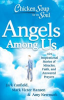 Chicken_soup_for_the_soul__angels_among_us