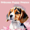 Princess_Puppy_Prance