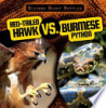 Red-tailed_hawk_vs__Burmese_python