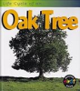 Life_Cycle_of_an_Oak_Tree