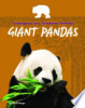 Giant_Pandas