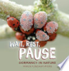 Wait__rest__pause