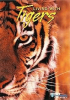Living_with_tigers__DVD_