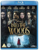 Into_the_woods__2014_