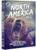 North_America__DVD_