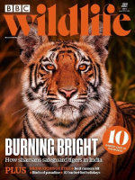 BBC_Wildlife_Magazine