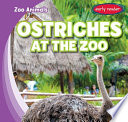 Ostriches_At_the_Zoo