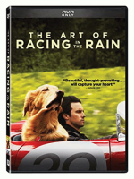 The_art_of_racing_in_the_rain__DVD_