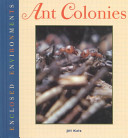 Ant_colonies