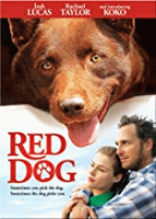 Red_Dog__DVD_