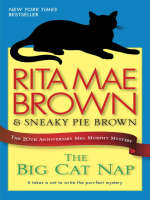 The_Big_Cat_Nap