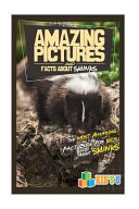 Amazing_pictures_and_facts_about_skunks