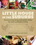 Little_house_in_the_suburbs