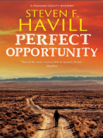 Perfect_Opportunity