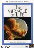 The_miracle_of_life__DVD_