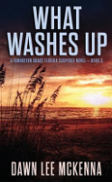 What_washes_up
