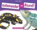 Salamander_or_Lizard_