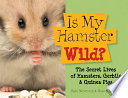 Is_my_hamster_wild_