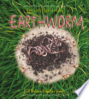 The_life_cycle_of_an_earthworm