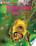 The honey bee's hive