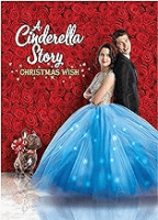 A_Cinderella_story__Christmas_Wish__DVD_