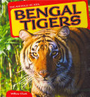Bengal_tigers