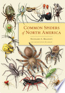 Common_spiders_of_North_America
