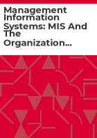 Management_information_systems