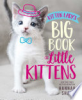 Kitten_Lady_s_big_book_of_little_kittens