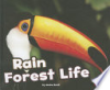 Rain_forest_life