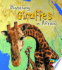 Watching_giraffes_in_Africa
