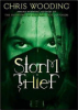 Storm_Thief