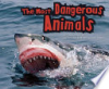 The_most_dangerous_animals