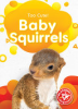 Baby_squirrels