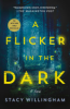 A_Flicker_In_The_Dark