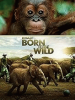 Born_to_be_wild__DVD_