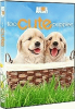 Too_cute_puppies__DVD_