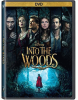 Into_the_woods__2014___DVD_