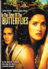 In_the_time_of_the_butterflies__DVD_