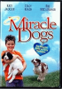 Miracle_dogs__DVD_