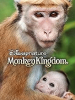 Monkey_kingdom__DVD_