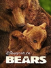 Bears__DVD_