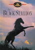 The_black_stallion__DVD_